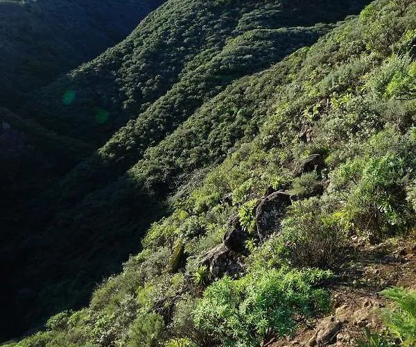 La Casita *